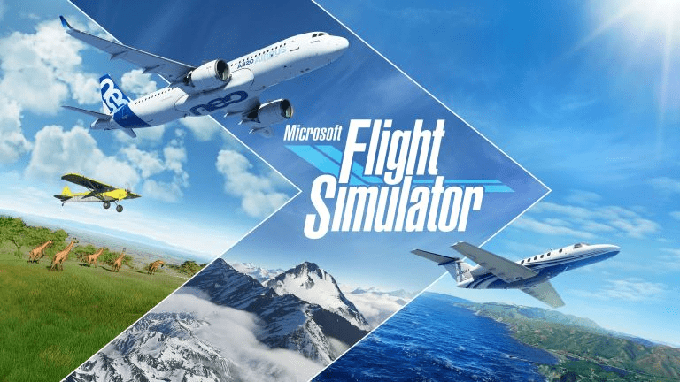 MSFS Support